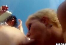 Развратные шимейлы и их товарищи устроили дикую анальную оргию в водах бассейна